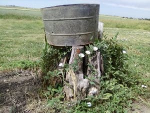 tin barrel on roots